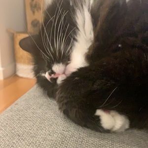 Meet your Posher, Amanda